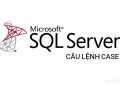 cách dùng lệnh CASE trong SQL Server