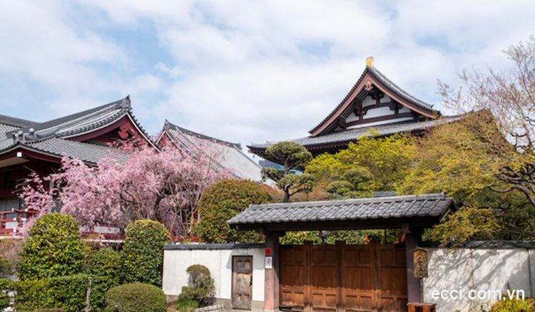 Top kinh nghiệm thuê nhà Tokyo dành cho du học sinh