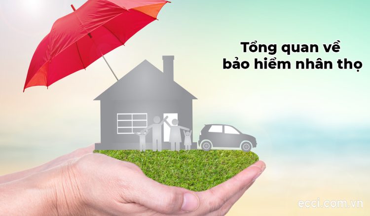 Tổng quan về bảo hiểm nhân thọ và lợi ích của việc tham gia bảo hiểm nhân thọ