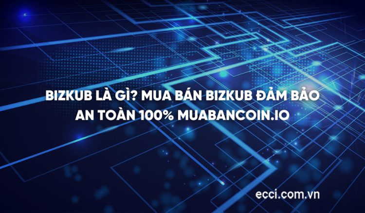Bizkub là gì? Mua bán Bizkub đảm bảo an toàn 100% Muabancoin.io