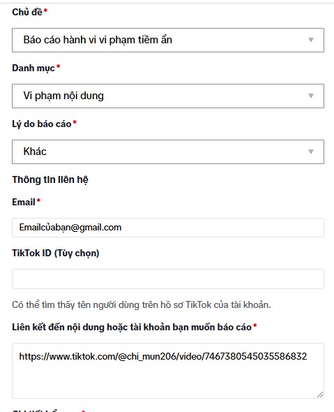 Rip Kênh TikTok Bằng Cách Báo Cáo Chủ Kênh Dưới 13 Tuổi.